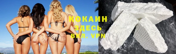 мяу мяу мука Новозыбков