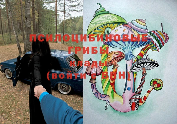 мяу мяу мука Новозыбков