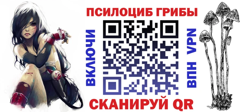 Псилоцибиновые грибы Cubensis  Купить  Спасск 